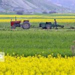 کشاورزی تجاری راهکار حفظ سطح سبز استان قم