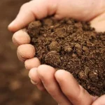 تغییر کاربری اراضی، چالشی برای کیفیت خاک