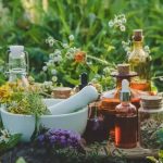 کلکسیون گیاهان دارویی در قم ایجاد شد