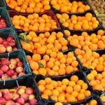 ذخیره‌سازی ۴۰۰ تن میوه شب عید در قم
