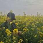 تغذیه علمی و مبارزه منسجم با آفات کلزا گامی استوار برای پایداری تولید دانه‌های روغنی در قم ‌
