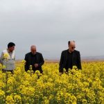 نظارت بر توزیع نهاده‌ها و پایش مزارع استراتژیک؛ بازدید معاون جهاد کشاورزی قم از تعاونی حیدرآباد