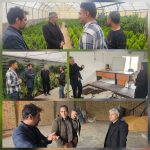 بازدید مشترک بخشدار سلفچگان و رئیس جهاد کشاورزی از تعاونی‌های تولید و صندوق خرد زنان