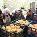 بازدید نماینده مردم قم در مجلس شورای اسلامی از انبارهای ذخیره میوه نوروزی
