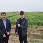 پایش استراتژیک مزارع بذری قم؛ گامی بلند برای تضمین امنیت بذر در سال‌های آتی