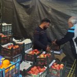 بازدید سرپرست مدیریت بازرسی و نظارت بر کالاهای اساسی و محصولات کشاورزی از غرفه های تنظیم بازار میوه استان