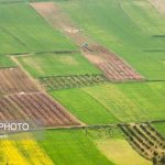 شناسایی ۲۳ مورد تغییر کاربری غیرمجاز در اراضی کشاورزی قم در نوروز امسال