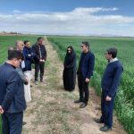 بازدید از فعالیت‌های ترویجی و فنی مدیریت جهاد کشاورزی شهرستان جعفرآباد