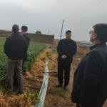 بازدید مشترک مسئولان جهاد کشاورزی و اداره کل بازرسی قم از مزارع جعفرآباد/ بررسی چالش‌های تولید محصولات راهبردی ‌
