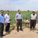 رزمایش صیانت از محصولات استراتژیک در سنگر تولید،‌ نظارت جهادی بر خوشه‌های طلایی قم