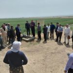 مراسم روز ملی گندم و نان با حضور مدیران سازمان جهاد کشاورزی استان قم و کشاورزان پیشرو برگزار شد
