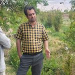 پایش میدانی وضعیت تولید در قطب باغداری سلفچگان؛ بازدید رئیس مرکز جهاد کشاورزی از باغات روستای «گلستانه» ‌
