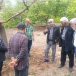 گام بلند برای نوسازی باغات سردسیری قم؛ طرح «مزارع الگویی» به بخش قاهان رسید ‌