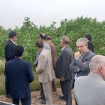 گره‌گشایی از چالش‌های (طلای سبز)؛ برنامه‌ریزی برای جهش تولید در مجتمع مرحوم امینی ‌قم