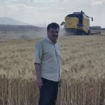 آغاز برداشت جو در مزارع سلفچگان ‌