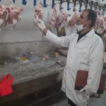 بازدیدهای مستمر و سختگیرانه بازرسان تنظیم بازار جهاد کشاورزی قم از کشتارگاه مرغ استان
