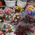 گل‌افشانی جهاد کشاورزی قم در مسیر عشق و ولایت ‌ در شب هفتاد و هفتم