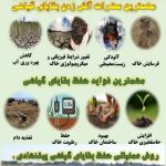 اینفوگرافی ممنوعیت آتش زدن بقایای گیاهی