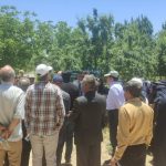 ارقام دیرگل و پربار؛ کلید توسعه بادام‌کاری کشور/آشنایی باغداران قمی با ارقام نوین و مقاوم بادام