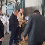 ارتقای زنجیره تأمین بذر؛ رصد عملیاتی جریان فرآوری دانه‌های روغنی در استان قم