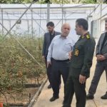 ارزیابی میدانی پتانسیل‌های تولید گیاهی و گلخانه‌ای سلفچگان توسط سازمان بسیج جامعه کشاورزی ‌