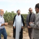 بازدید رئیس سازمان بازرسی و رئیس سازمان جهاد کشاورزی از مزرعه چاووشی/تاکید حجت الاسلام طالبی جهت رفع موانع تولید در بخش کشاورزی